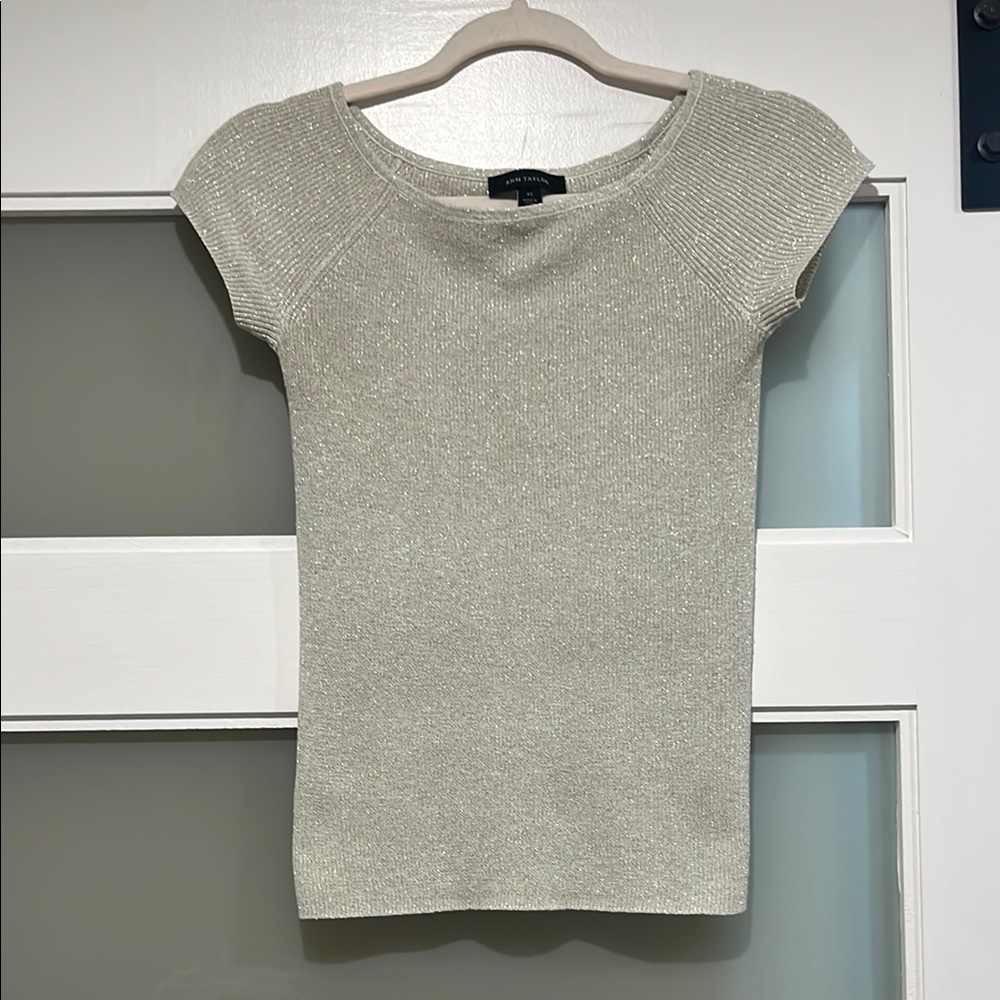 Silver Short Sleeve sweater tee top Xs modern elegant